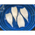 Frozen Calamari Squid Tube U7 U5 Well Treated